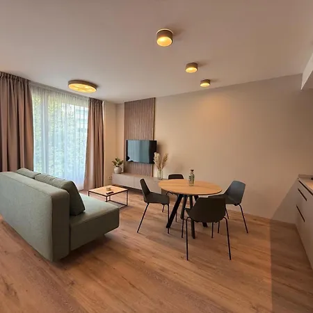 Slovakova Apartment Brno