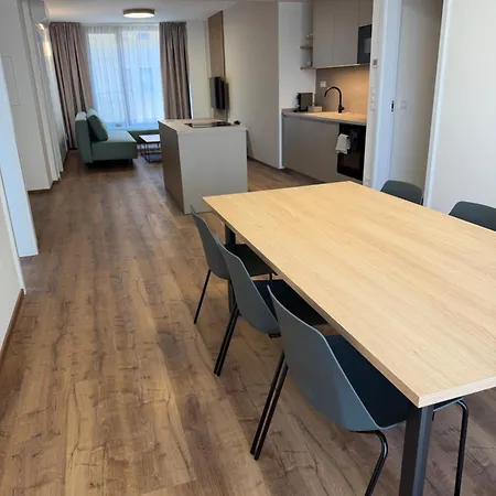 Slovakova Apartment Brno